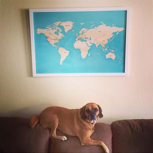 travel-map-with-dog